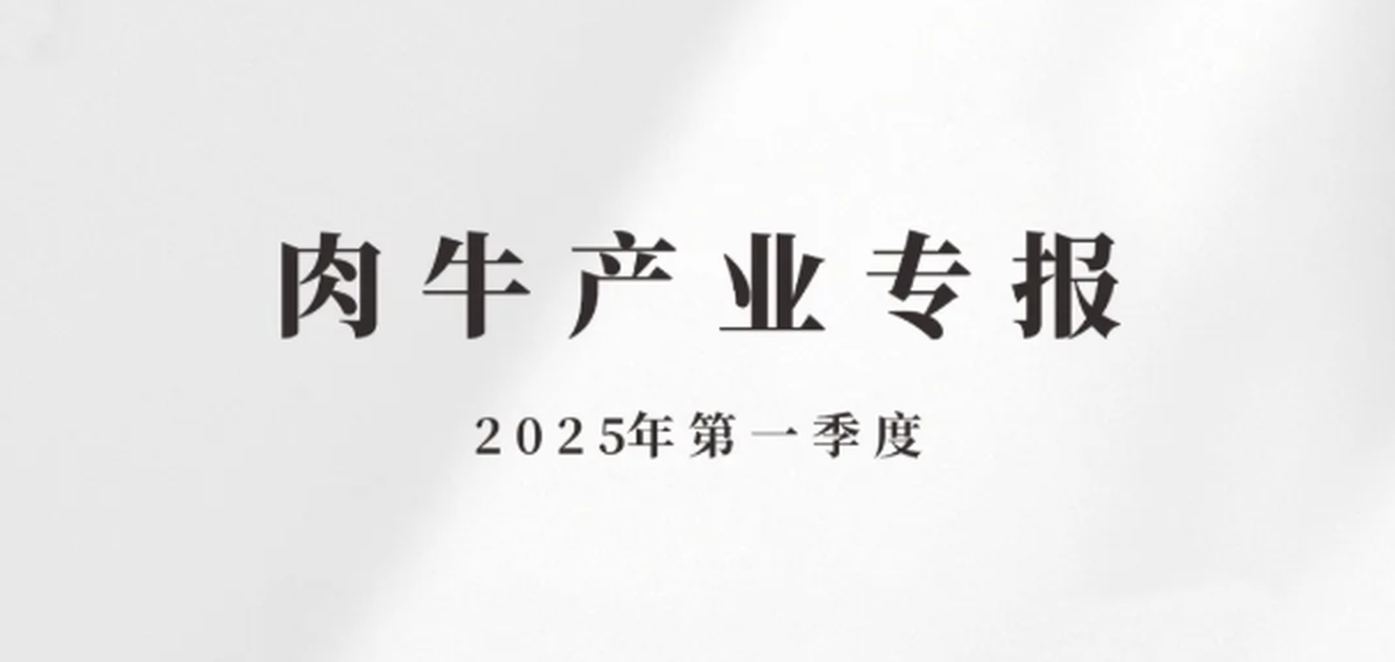 肉牛产业专报——2025年第一季度 4.11